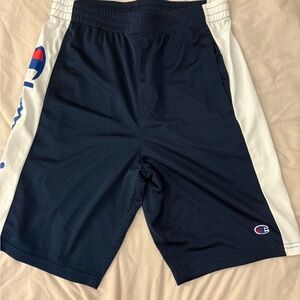 Champion Mesh Basketball Shorts Navy White Stripe